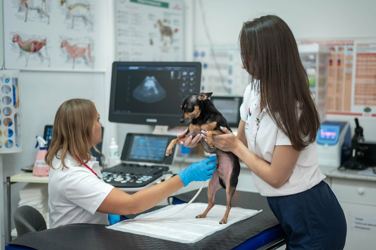 <span style="font-weight: bold;">Назначение необходимых анализов и диагностических процедур</span>